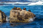 463IMG_9089