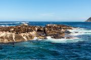 464IMG_2711