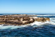 464IMG_2719