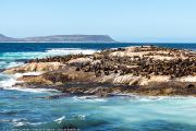 464IMG_2723