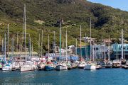 468IMG_2747