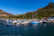 468IMG_2755