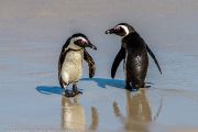504IMG_9452