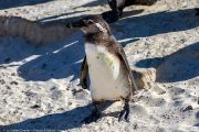 504IMG_9481