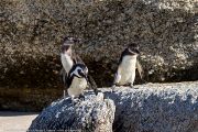 504IMG_9562