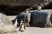 504IMG_9565