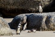 504IMG_9573