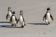 504IMG_9580