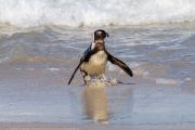 504IMG_9589