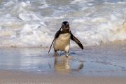 504IMG_9593