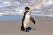 504IMG_9605