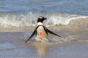 504IMG_9627