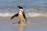 504IMG_9631