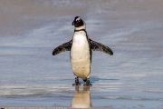 504IMG_9638