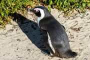 504IMG_9670