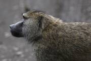 02-01IMG_3014