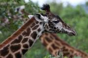 02-05IMG_3076