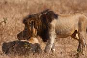 04-03IMG_3916