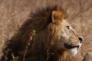04-03IMG_3949