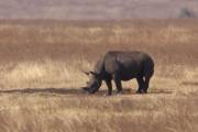 04-04IMG_3816