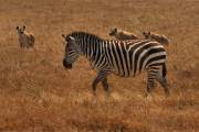 04-09IMG_5715