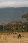 04-10IMG_4188