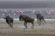 04-12IMG_4164