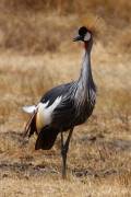 04-13IMG_4038
