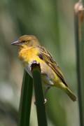 04-14IMG_5789
