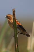 04-14IMG_5791