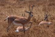04-18IMG_5823