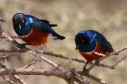 05-02IMG_4305
