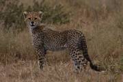 05-03IMG_4317