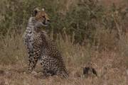 05-03IMG_4324