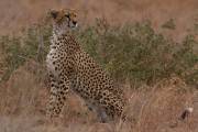 05-03IMG_4338