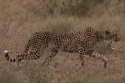 05-03IMG_4348