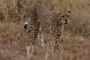 05-03IMG_4352