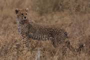 05-04IMG_6107
