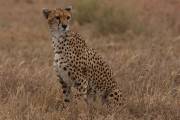 05-04IMG_6108