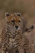 05-05IMG_4364