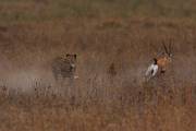 05-05IMG_4370