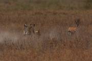05-05IMG_4371