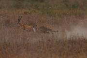 05-05IMG_4374