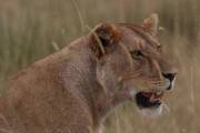 05-06IMG_4393