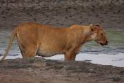 05-06IMG_6191