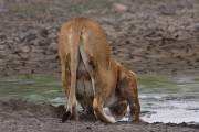 05-07IMG_4403