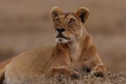05-08IMG_4421