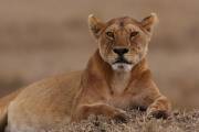 05-08IMG_4427