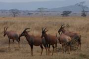 05-09IMG_6212