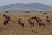 05-09IMG_6214